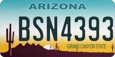 AZ license plate BSN4393