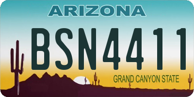 AZ license plate BSN4411