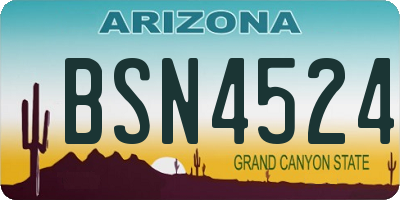 AZ license plate BSN4524