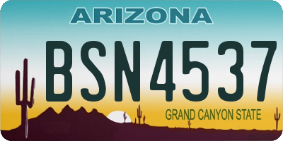 AZ license plate BSN4537