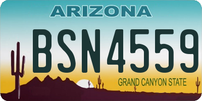 AZ license plate BSN4559