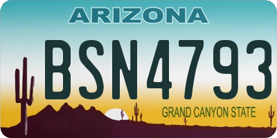 AZ license plate BSN4793