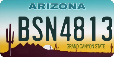 AZ license plate BSN4813