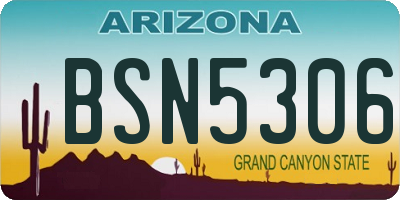 AZ license plate BSN5306