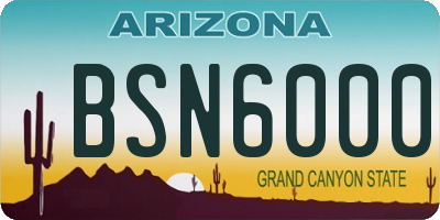 AZ license plate BSN6000