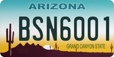 AZ license plate BSN6001