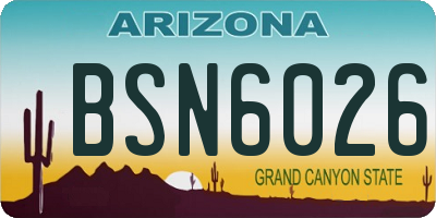 AZ license plate BSN6026