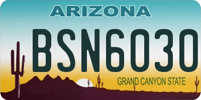 AZ license plate BSN6030