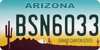 AZ license plate BSN6033