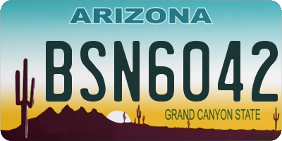 AZ license plate BSN6042