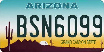 AZ license plate BSN6099