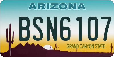 AZ license plate BSN6107