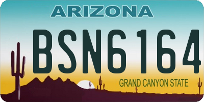 AZ license plate BSN6164
