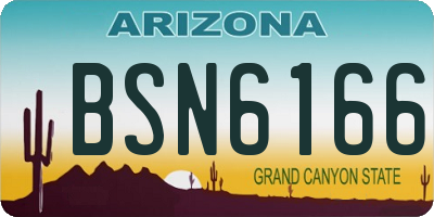 AZ license plate BSN6166