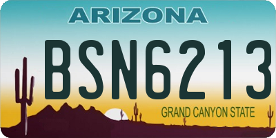 AZ license plate BSN6213