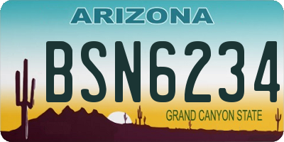 AZ license plate BSN6234