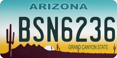 AZ license plate BSN6236