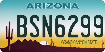 AZ license plate BSN6299