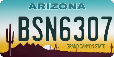 AZ license plate BSN6307
