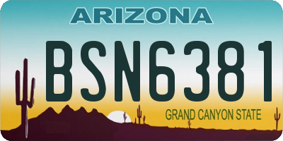 AZ license plate BSN6381