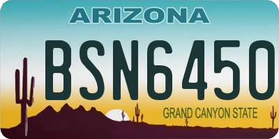 AZ license plate BSN6450
