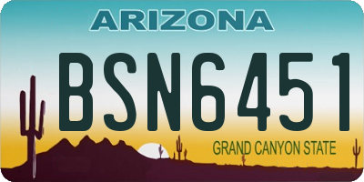AZ license plate BSN6451