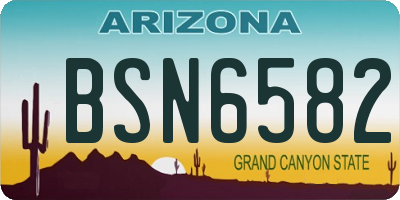 AZ license plate BSN6582