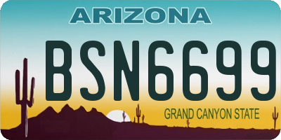 AZ license plate BSN6699