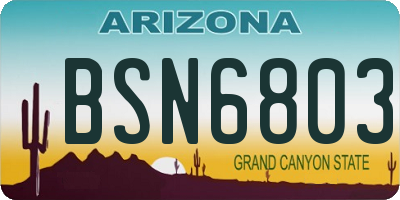 AZ license plate BSN6803