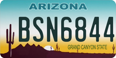 AZ license plate BSN6844