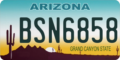 AZ license plate BSN6858