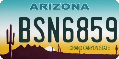 AZ license plate BSN6859