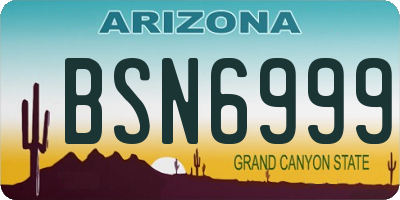 AZ license plate BSN6999