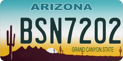 AZ license plate BSN7202