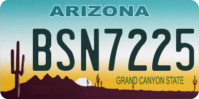 AZ license plate BSN7225