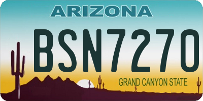 AZ license plate BSN7270