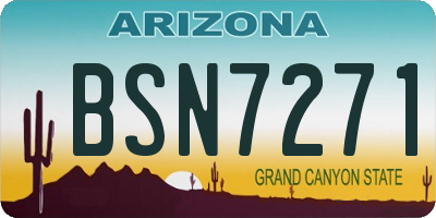 AZ license plate BSN7271