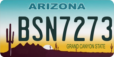 AZ license plate BSN7273