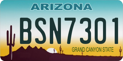 AZ license plate BSN7301