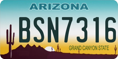 AZ license plate BSN7316