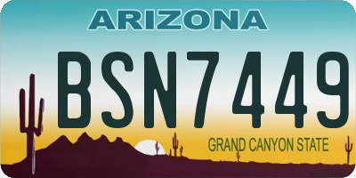 AZ license plate BSN7449