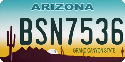AZ license plate BSN7536