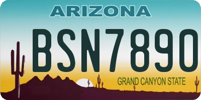 AZ license plate BSN7890