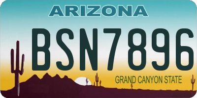 AZ license plate BSN7896