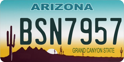 AZ license plate BSN7957