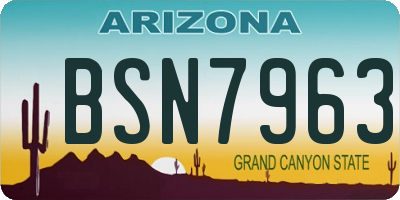 AZ license plate BSN7963