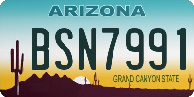 AZ license plate BSN7991