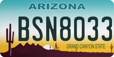 AZ license plate BSN8033