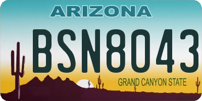 AZ license plate BSN8043