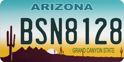 AZ license plate BSN8128